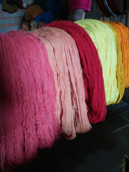 Cochineal (Dactylopius coccus)
