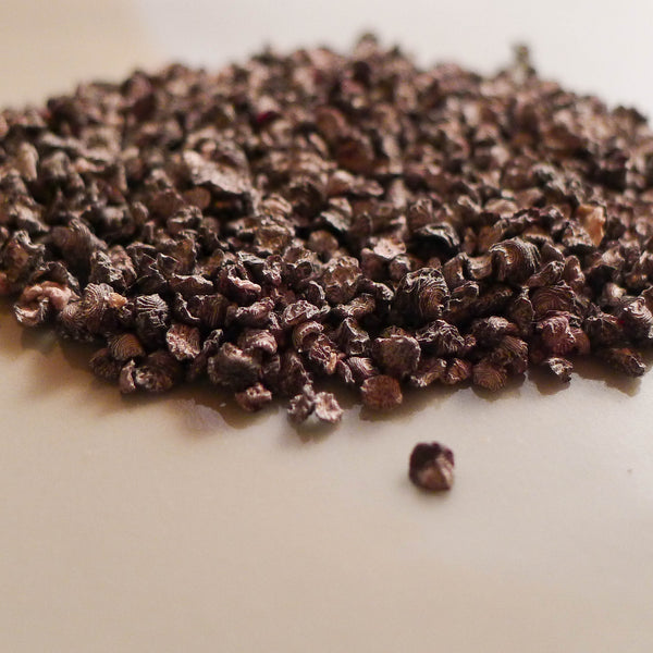 Cochineal (Dactylopius coccus)