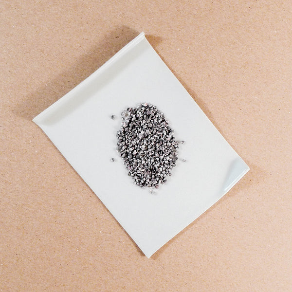 Cochineal (Dactylopius coccus)